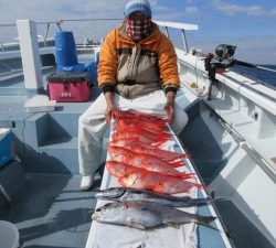 太郎丸 釣果
