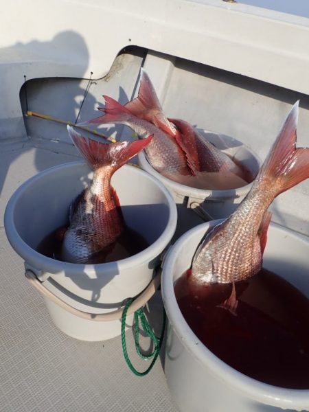 Aquanaut(アクアノート) 釣果