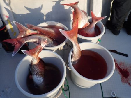 Aquanaut(アクアノート) 釣果