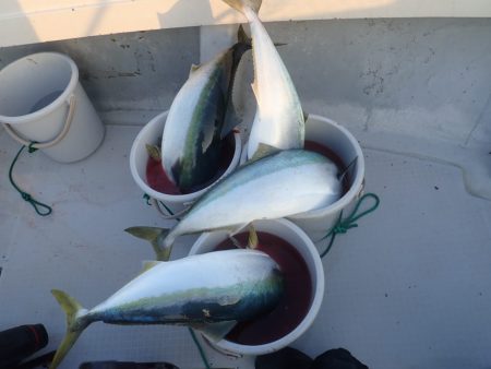 Aquanaut(アクアノート) 釣果