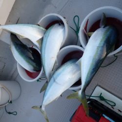 Aquanaut(アクアノート) 釣果