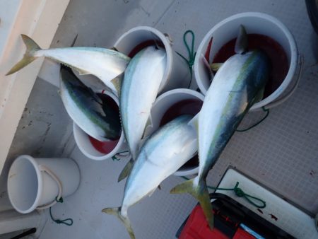 Aquanaut(アクアノート) 釣果