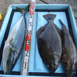 久六釣船 釣果