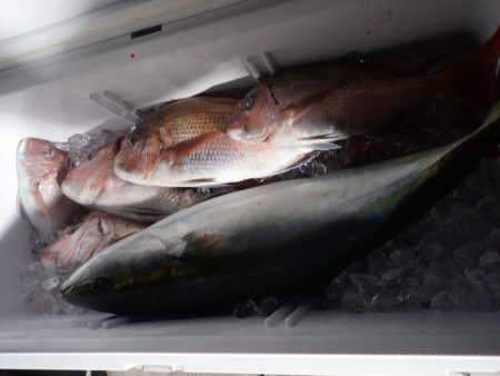 Aquanaut(アクアノート) 釣果