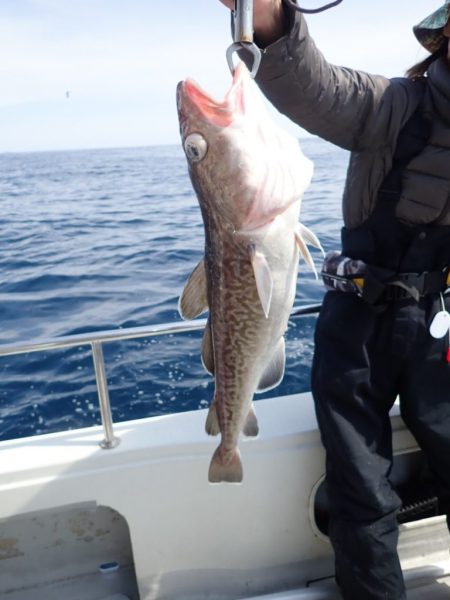 Aquanaut(アクアノート) 釣果