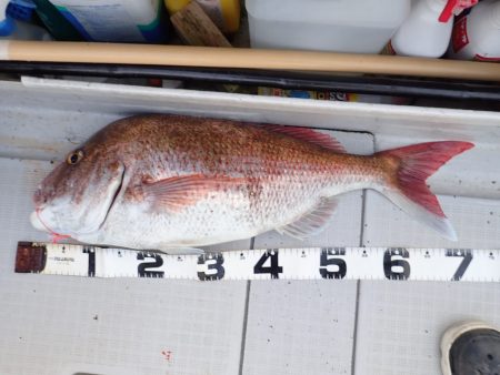 Aquanaut(アクアノート) 釣果