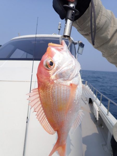 Aquanaut(アクアノート) 釣果