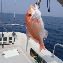 Aquanaut(アクアノート) 釣果