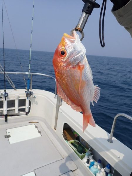 Aquanaut(アクアノート) 釣果