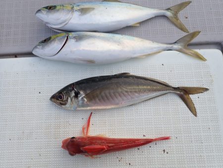 Aquanaut(アクアノート) 釣果