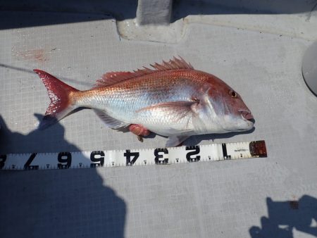 Aquanaut（アクアノート） 釣果