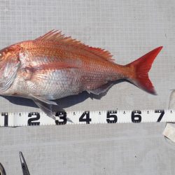 Aquanaut（アクアノート） 釣果