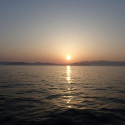 Aquanaut（アクアノート） 釣果