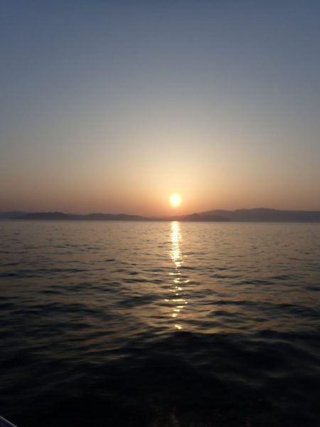 Aquanaut（アクアノート） 釣果