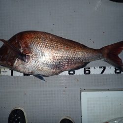 Aquanaut（アクアノート） 釣果