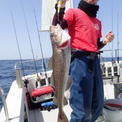 Aquanaut（アクアノート） 釣果