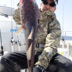 Aquanaut（アクアノート） 釣果