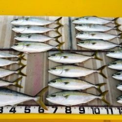 火遠理丸（ほおりまる） 釣果