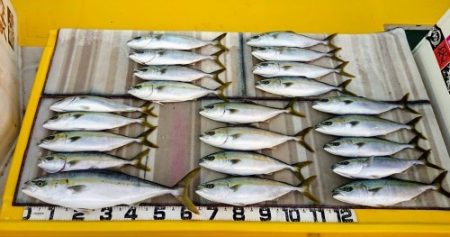 火遠理丸（ほおりまる） 釣果