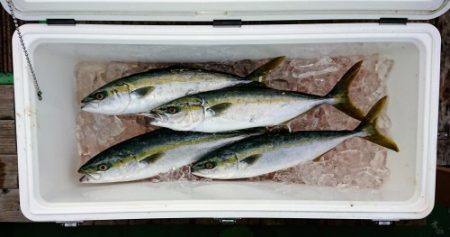 火遠理丸（ほおりまる） 釣果