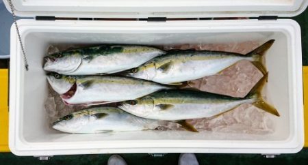 火遠理丸（ほおりまる） 釣果