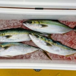 火遠理丸（ほおりまる） 釣果