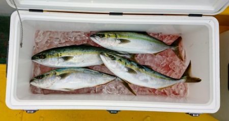 火遠理丸（ほおりまる） 釣果