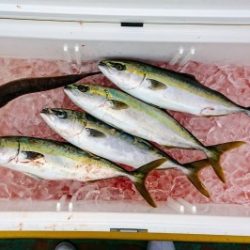 火遠理丸（ほおりまる） 釣果
