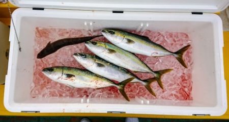 火遠理丸（ほおりまる） 釣果