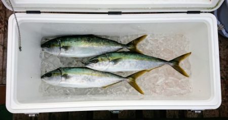 火遠理丸（ほおりまる） 釣果