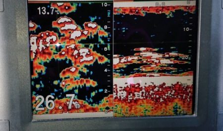火遠理丸（ほおりまる） 釣果