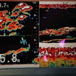 火遠理丸（ほおりまる） 釣果