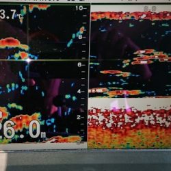 火遠理丸（ほおりまる） 釣果