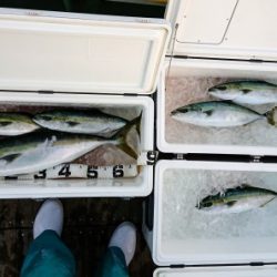 火遠理丸(ほおりまる) 釣果