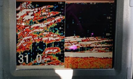 火遠理丸(ほおりまる) 釣果