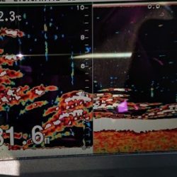 火遠理丸(ほおりまる) 釣果