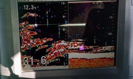 火遠理丸(ほおりまる) 釣果