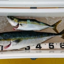 火遠理丸(ほおりまる) 釣果