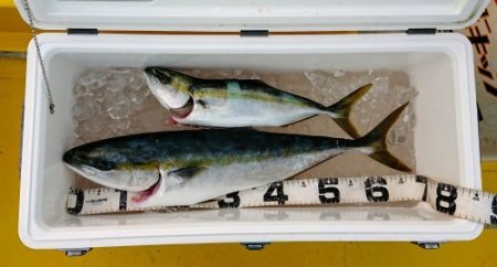 火遠理丸(ほおりまる) 釣果