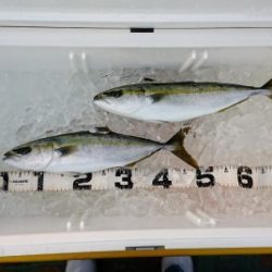 火遠理丸(ほおりまる) 釣果