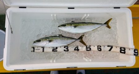 火遠理丸(ほおりまる) 釣果