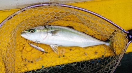 火遠理丸(ほおりまる) 釣果