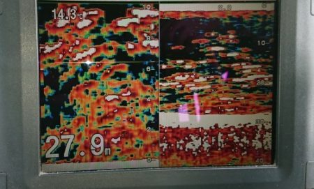 火遠理丸(ほおりまる) 釣果