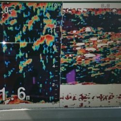 火遠理丸(ほおりまる) 釣果