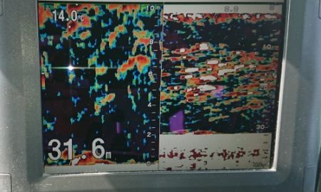 火遠理丸(ほおりまる) 釣果