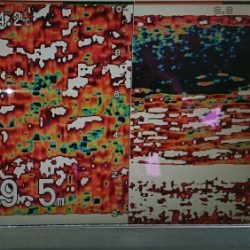 火遠理丸(ほおりまる) 釣果