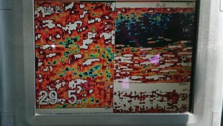 火遠理丸(ほおりまる) 釣果