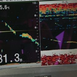 火遠理丸(ほおりまる) 釣果