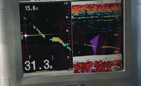 火遠理丸(ほおりまる) 釣果