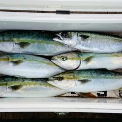 火遠理丸（ほおりまる） 釣果